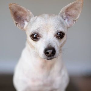 Meet your Posher, Elia